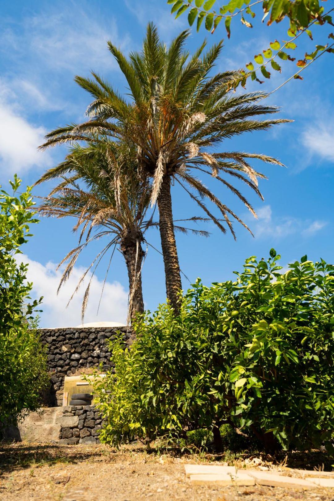 Villa Casa Unifamiliare A Sicilia Kamma Exterior foto