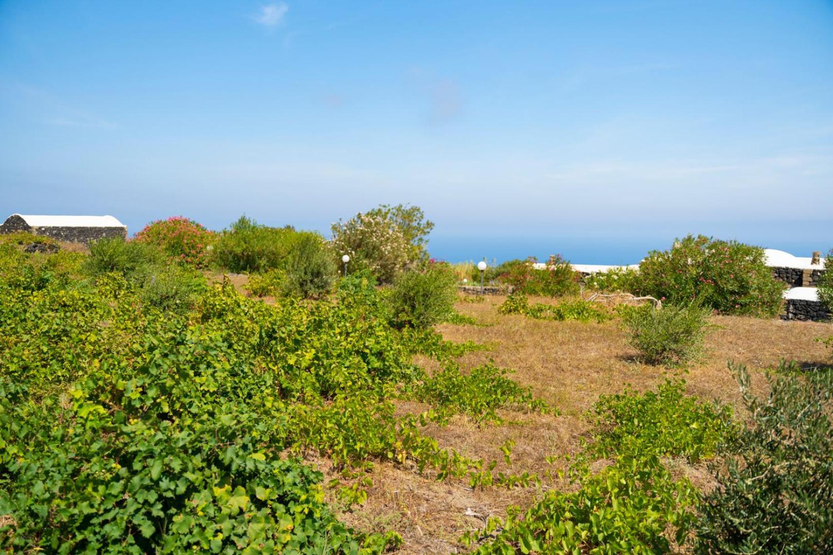 Villa Casa Unifamiliare A Sicilia Kamma Exterior foto